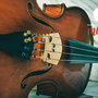 Beginner's Guide to Learning the Viola