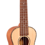 1880 Concert Ukulele 200 Series (Acoustic/Electric)