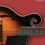 Hal Leonard Mandolin Method Book 2