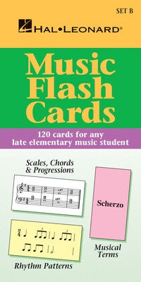 HLSPL 120 x Music Flash Cards Set B