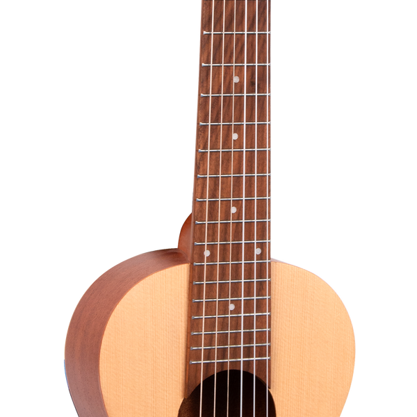 1880 Ukulele Co. 200 Series Guitarlele