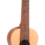 1880 Ukulele Co. 200 Series Guitarlele