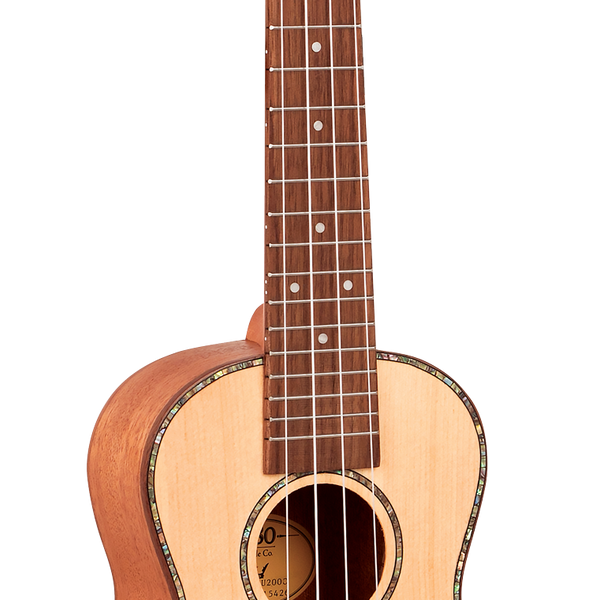 Concert Ukulele Solid spruce top