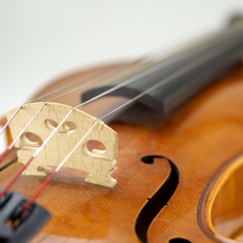 Orchestral bridge replace - Australian Academy of Music