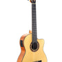Classical Guitar - Cutaway, Electric Acoustic