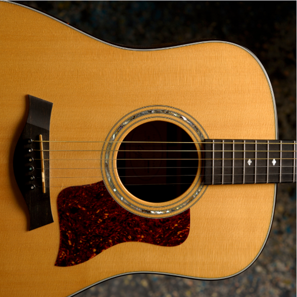 Acoustic Guitar rental