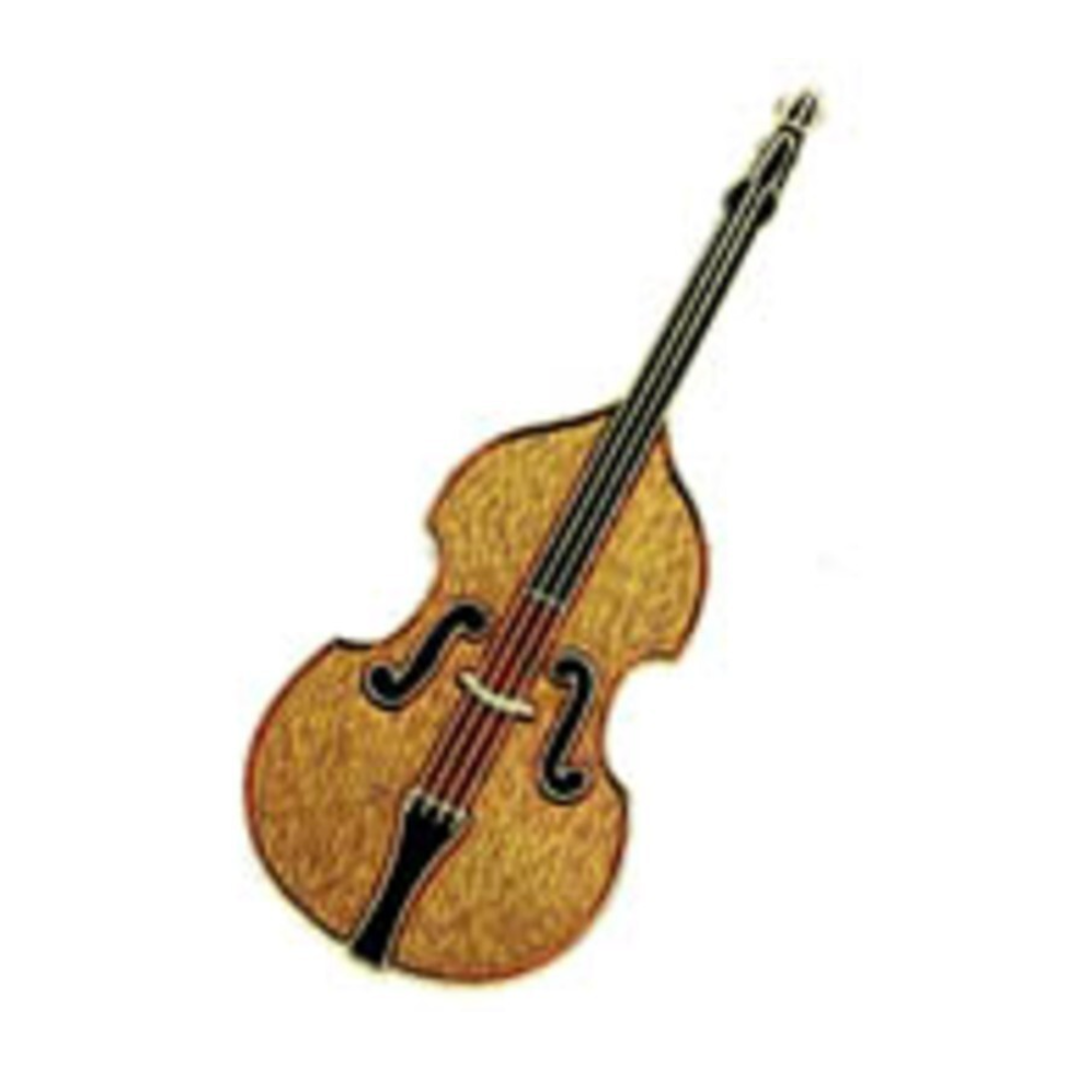 Mini Pin/Brooch - Double Bass