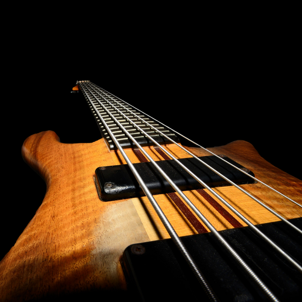 Bass Guitar rental
