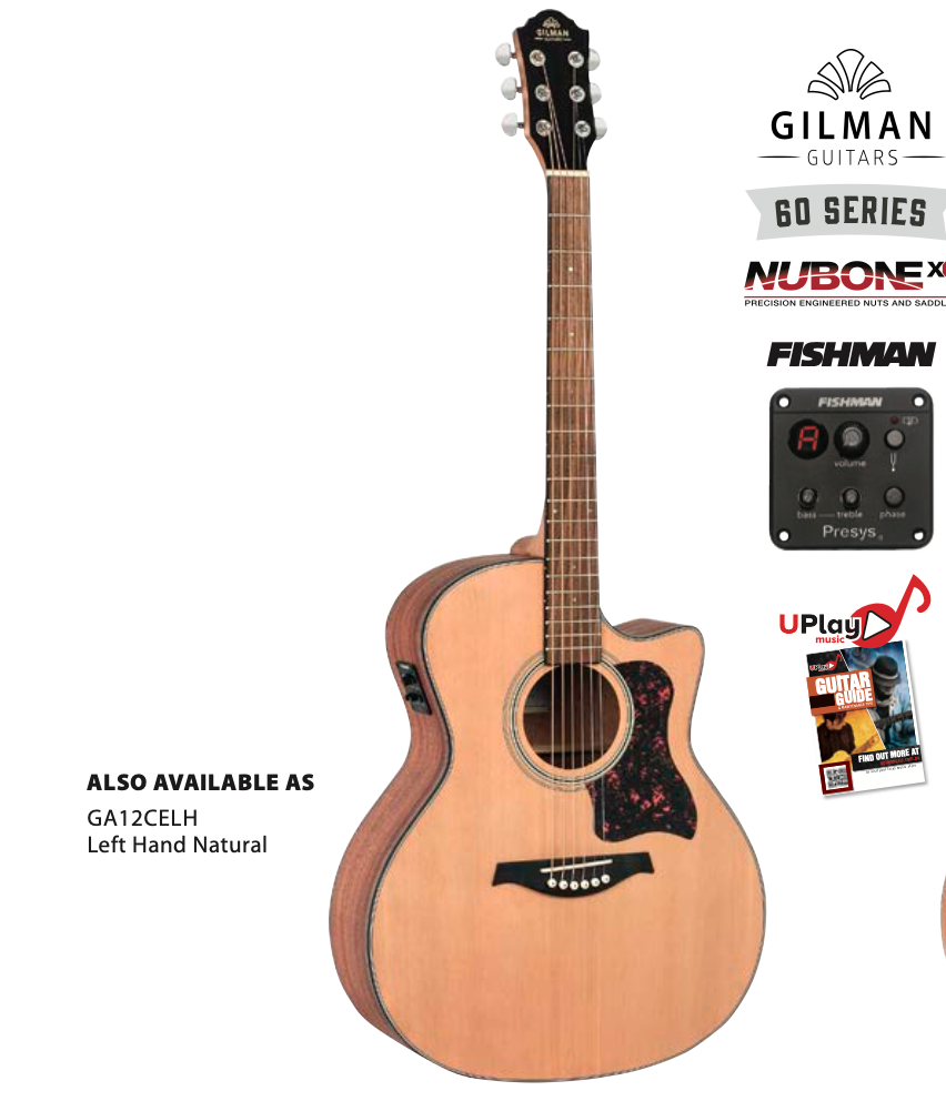 Grand Ridge Gilman Gilman Grand Auditorium electric/acoustic