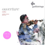Gallistrings Overture - Violin 3/4 Steel Set
