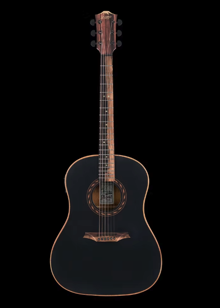 Bromo Guitar - Tahoma Series. Round Shoulder Dreadnought electric/acoustic.