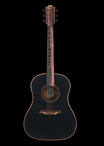 Bromo Guitar - Tahoma Series. Round Shoulder Dreadnought electric/acoustic.