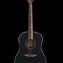 Bromo Guitar - Tahoma Series. Round Shoulder Dreadnought electric/acoustic.