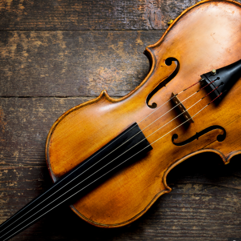 Viola lesson - private one-on-one at Academy of Music