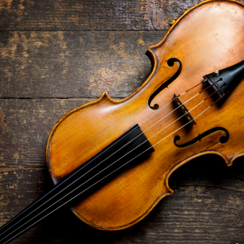 Viola rental