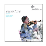 Galli Ouverture Violin Strings 4/4 - Synthetic Core