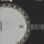 Hal Leonard Tenor Banjo Method