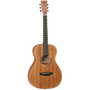 Tanglewood Roadster 2 Parlour (Acoustic)