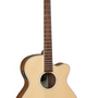 Tanglewood Discovery Acoustic Guitar