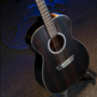 Washburn DFEFE-A-U Deep Forest Ebony Folk Acoustic Electric Guitar