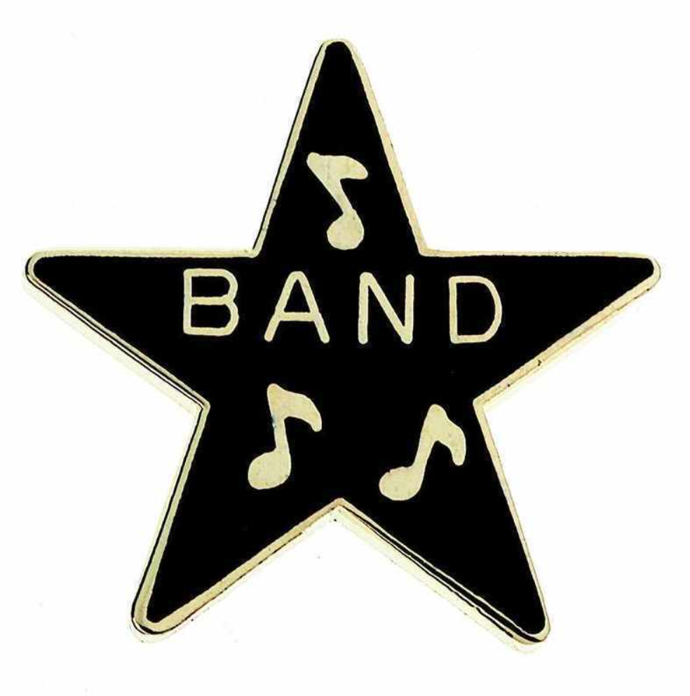 Mini Pin Star Award Band - Giftware