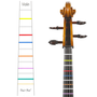 Don't Fret Stickers - Violin 4/4 Size
