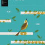 AMEB Flute Series 4 Grade 4 Grade Book