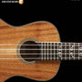 Hal Leonard Ukulele Method Book 1 BK/OLA