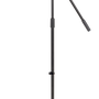 Professional Microphone Boom Stand.