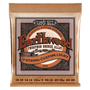 Ernie Ball Earthwood Acoustic Guitar Strings - 12-String Custom Light 10-48