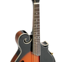Bryden Mandolin F Style - Florentine