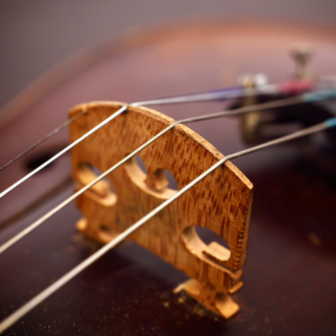 Orchestral bridge replace - Australian Academy of Music