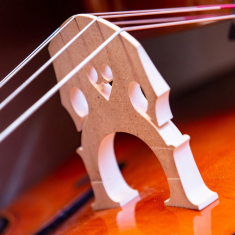 Orchestral bridge replace - Australian Academy of Music