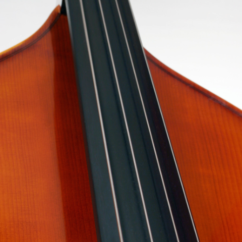 Neck repair - Australian Academy of Music Service