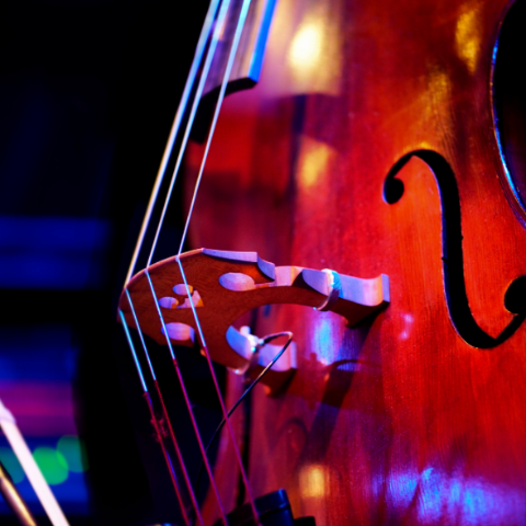 Australian String Instruments Instrument re-string - Australian Academy of Music Service