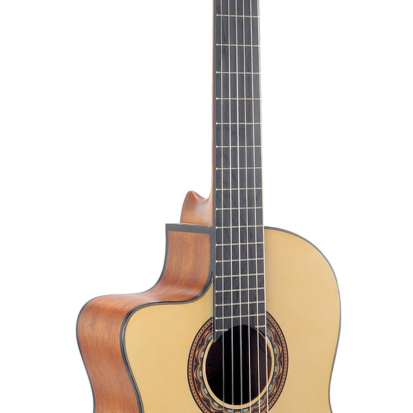 Classical Guitar - Cutaway, Electric Acoustic - Left Hand